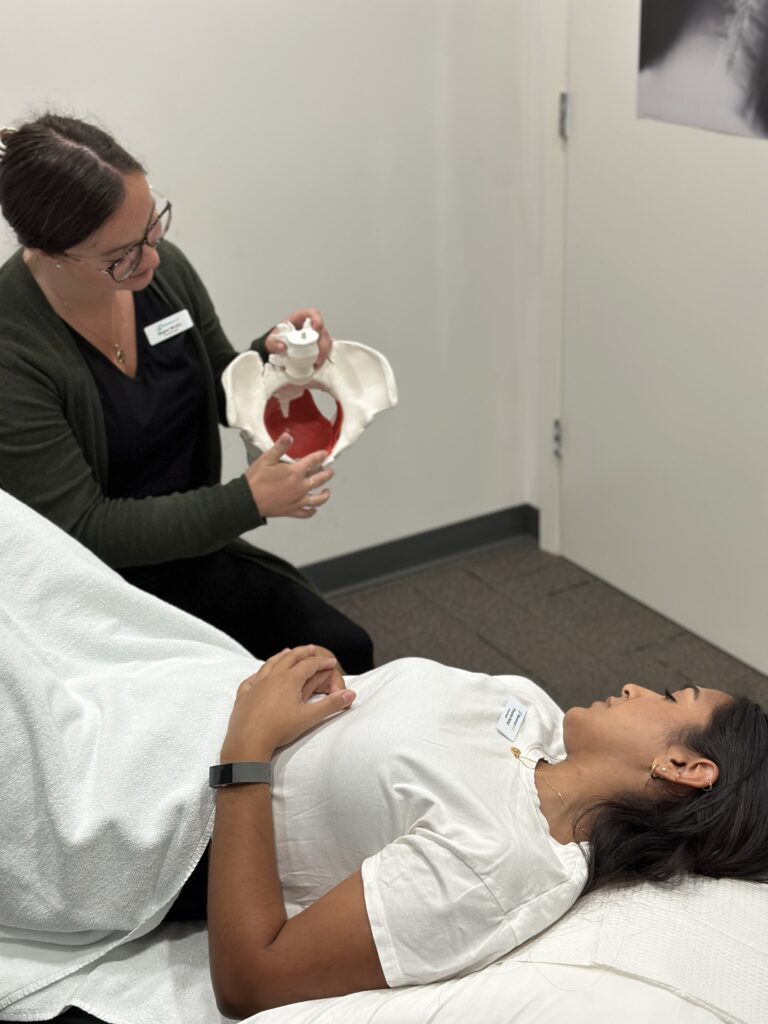 Meghan a pelvic health physiotherapist showing a pelvis model